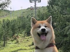 -翠云山银河滑雪场