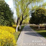 翡翠湖公园开放第一天， 阳光正好， 风轻云淡