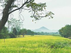 -良渚古城遗址公园