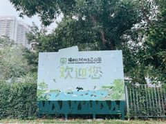 -福田红树林生态公园