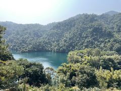 -鼎湖山风景区