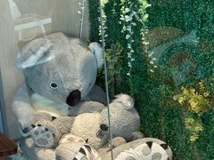 -了不起的考拉咖啡店(高新店)