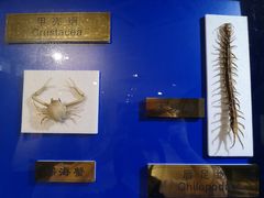 -上海昆虫博物馆