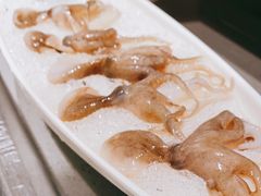 八爪鱼-海底捞火锅(金融街万达店)
