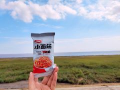 -南汇嘴观海公园