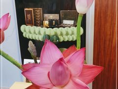 -七彩云南茶(七彩云南第壹城店)