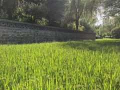 -北坞公园
