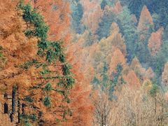 -山王坪喀斯特国家生态公园