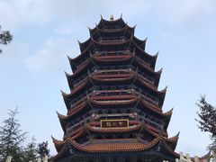 -铁山坪森林公园