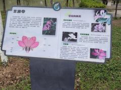 -广东花都湖国家湿地公园