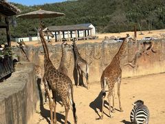 -杭州野生动物世界