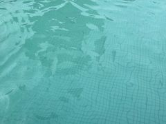 -北戴河集发农业梦想王国