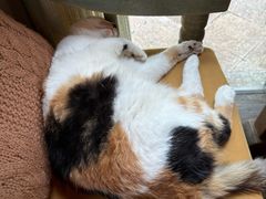 -BUND·FIVE外滩5号(天际店)