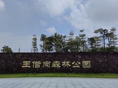 -王借岗森林公园