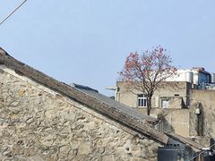 -东沙渔村