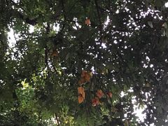 -天河儿童公园