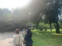 -晓港公园