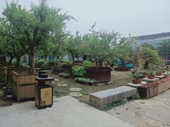 -河北村民俗体验园