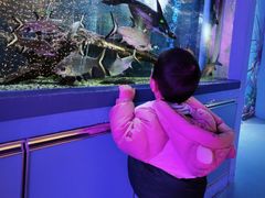 -沙沙哗啦海洋馆(华宇百花谷店)