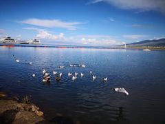 -青海湖国家重点风景名胜区