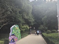 -上海佘山国家森林公园天马山园