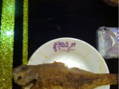iphone_upload_pic-潮派KTV(东晓南旗舰店)
