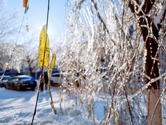 -长春公园(普阳街道)