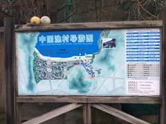 -胖大嫂渔家排档·全海景餐厅(渔村店)