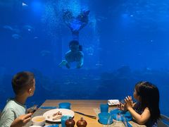 -海棠湾洲际-涛·海底餐厅·美人鱼·自助餐·海底隧道
