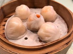 虾饺-金汇酒楼(中山东区店)