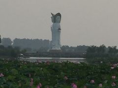 -白洋淀景区