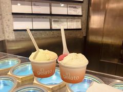无花果叶-Dip in Gelato(富民路店)