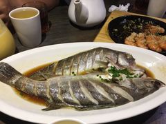 -青叶202都市餐厅(迪诺水镇店)