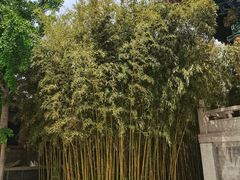 -盛世南宫影视城(北普陀影视城)