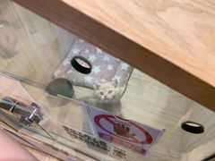 -屋虎猫馆(宝安大仟里店)