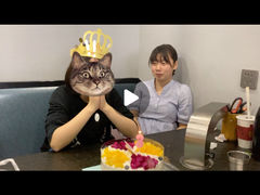 -芝士牛炭火烤肉
