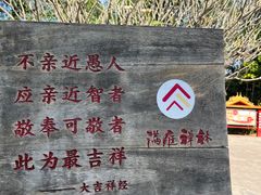 -西双版纳傣族园
