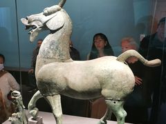 -广西壮族自治区博物馆