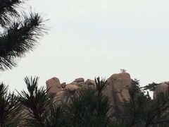 -崂山仰口游览区