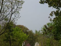 -昆山城市生态森林公园