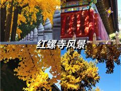 -桔子文创·企业团建·活动策划·拓展会议