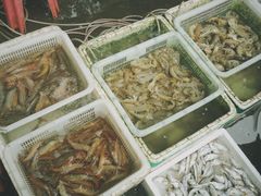 -先锋海鲜市场