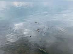 -漕湖湿地公园