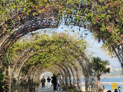 -大梅沙海滨公园