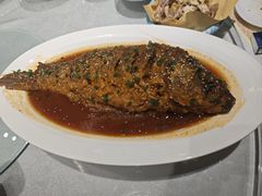 -松针蔡记蒸饺(花园路店)