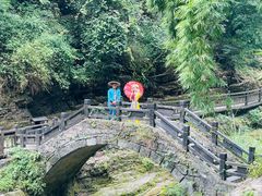 -三峡人家风景区