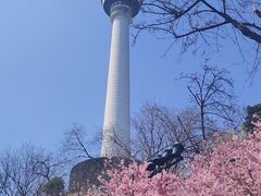 -龟山风景区-龟山电视塔
