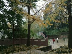 -成都市活水公园