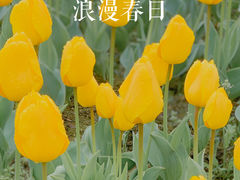 -静安雕塑公园