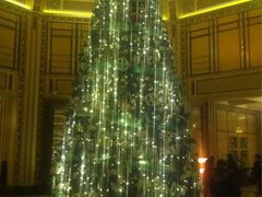 -上海和平饭店-华懋阁 The Cathay Room